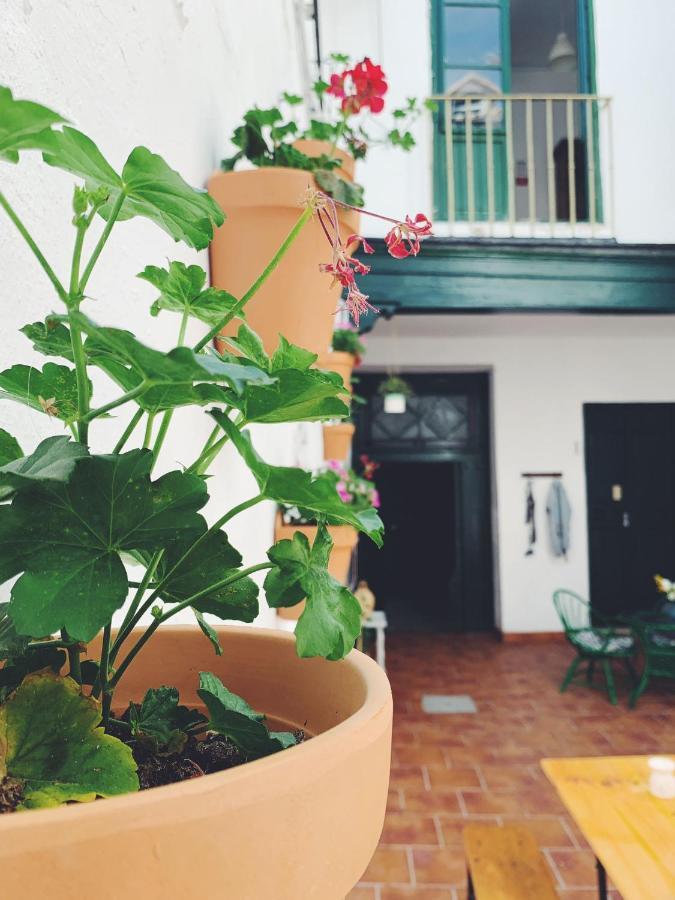 Maria Magdalena - Room 10 Malaga Exterior photo